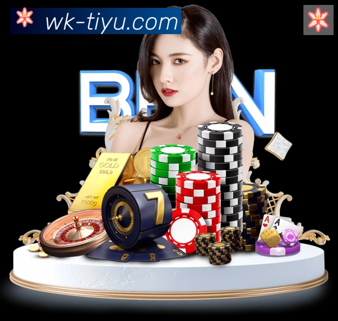 登录器